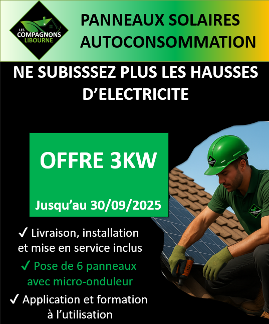 Flyer panneaux solaires